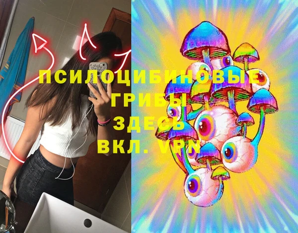 спайс Алексеевка