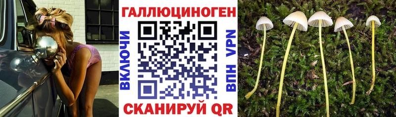 Псилоцибиновые грибы мицелий  купить наркотики сайты  Мамоново 